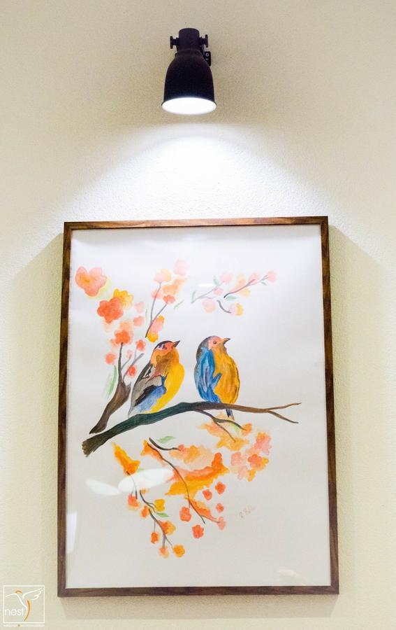 Nest 호텔 드로베타 투르누 세베린 외부 사진
